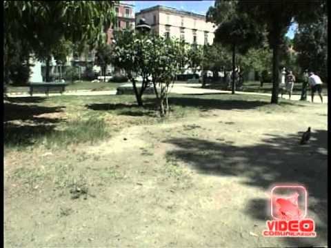 Napoli - Giardini e parchi di napoli nel degrado (08.08.12)