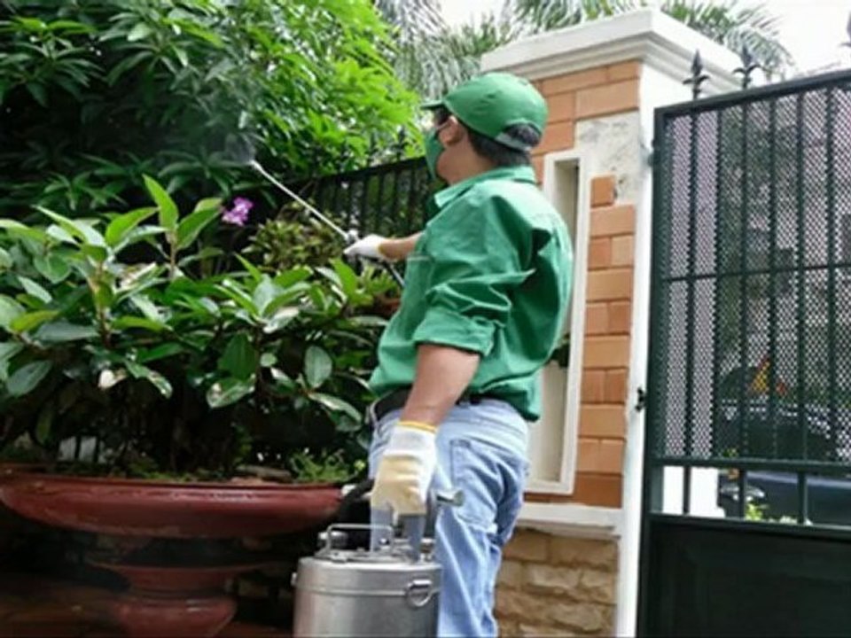 Dịch vụ xịt thuốc muỗi tại nhà.