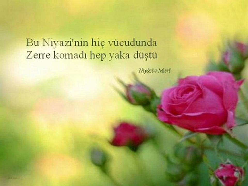 Çün sana gönlüm mübtela düştü Derd ü gam bana aşina düştü...