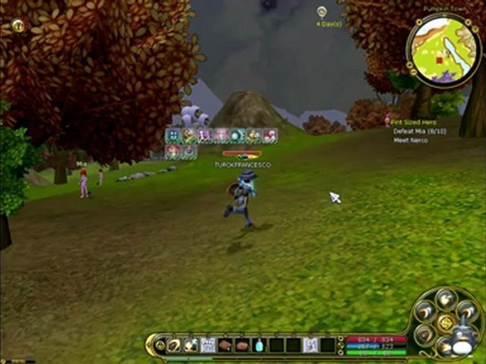 Flyff - Fly for Fun Gameplay (free online pc game)