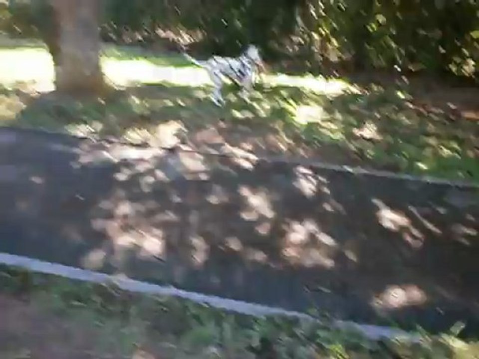 Redden et Gandja 8-08-2012