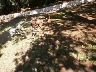 Redden et Gandja  et Cie 8-08-2012 n° 2