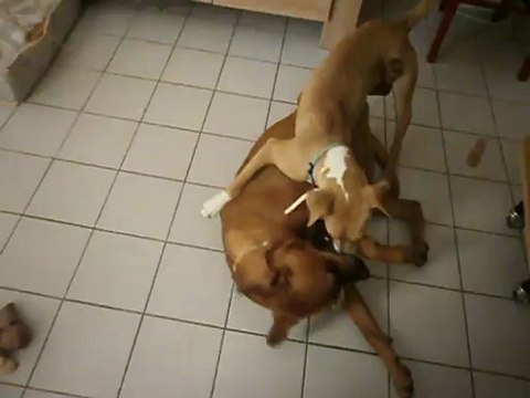 Eros et Redden 08-08-2012 n° 1