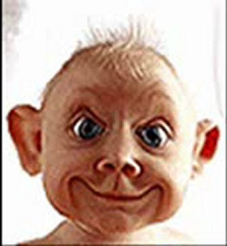 ortamlove.com istanbul ortamlove ankara ortam love izmir ortamlove.com