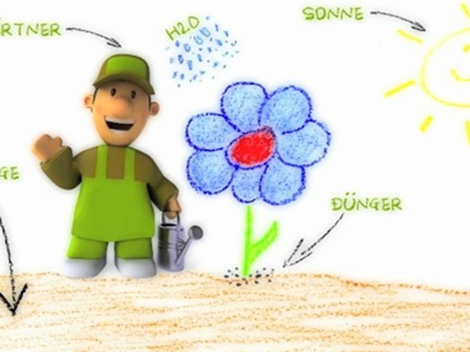 Deine Homepage um 1€ pro Tag!