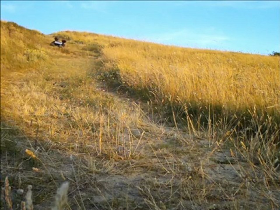 HPI Savage Flux run in the dunnes