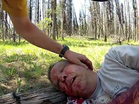 Crash en avion filmé depuis le cockpit