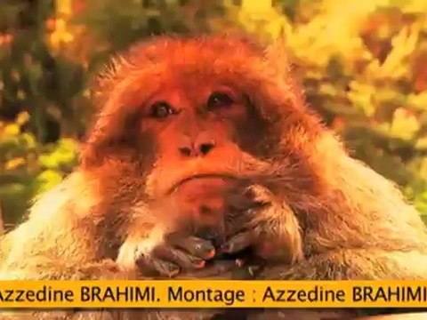 Un été chez nous - ep17