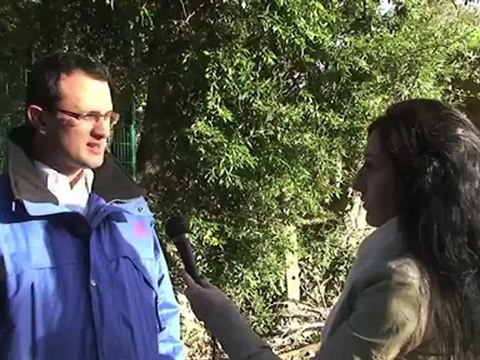 Abeilles, les sentinelles de l'environnement