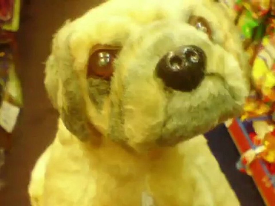 BLÄNK - Doing My Dance