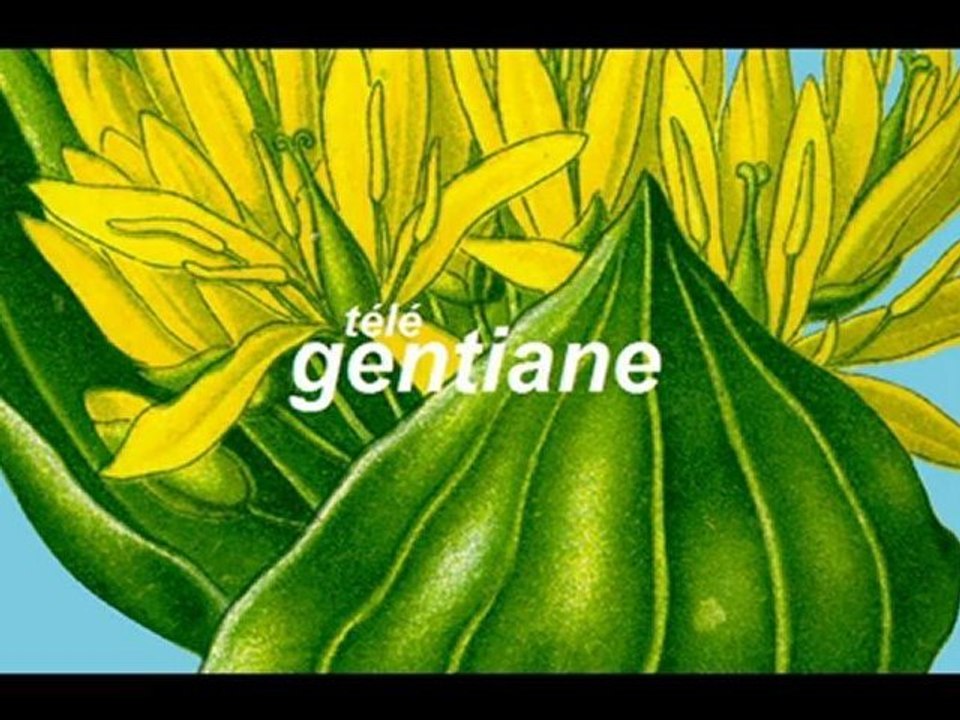 Collandres, village du Cantal