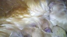 VID_20120618_032620