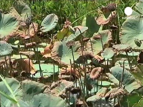 Vietnam: les Etats-Unis veulent effacer les traces de...