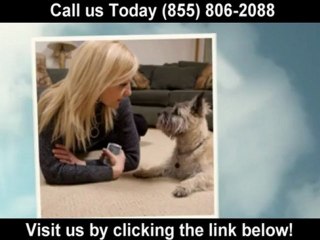 carpet cleaning raleigh (855) 806-2088 carpet cleaning raleigh reviews