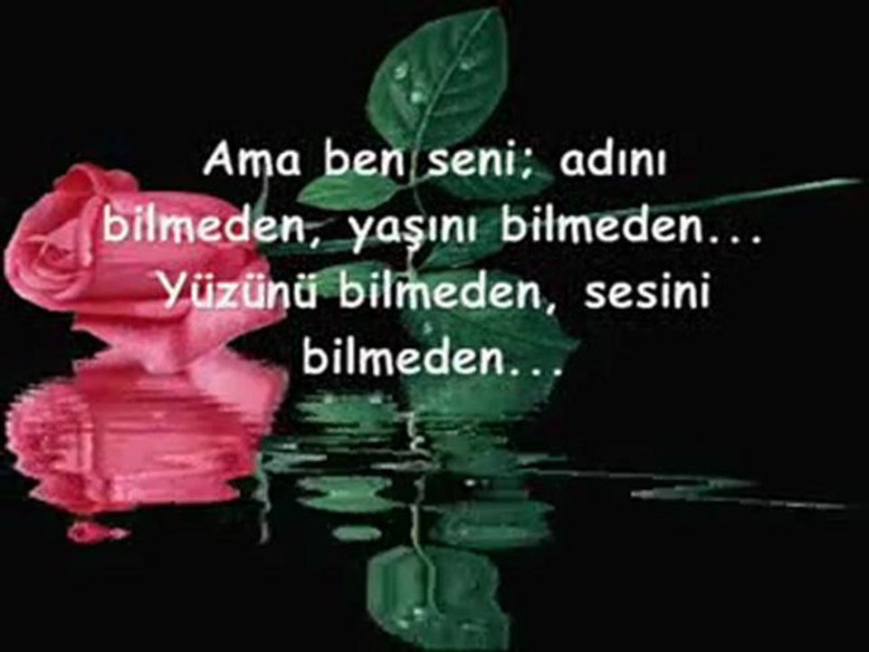 BEN SENI GÖRMEDEN SEVDIM