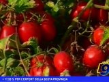 +17,93 % per l'export della Sesta Provincia