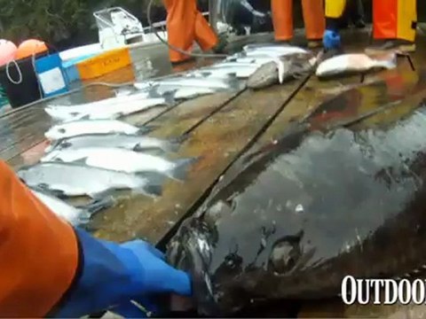 Video: Fishing for Huge Halibut off Afognak Island