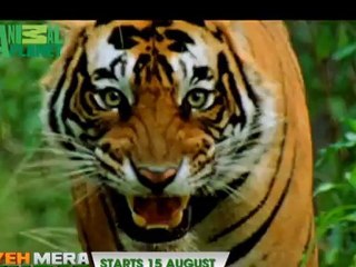 Animal Planet - 'Yeh Mera India' promo by Shaan