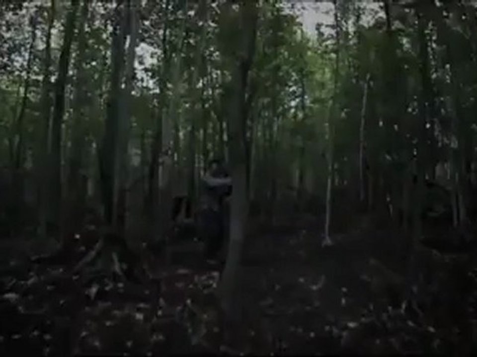 The Collapsed - Clip Noises