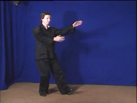 Yang Style Tai Chi Form Exercise Five