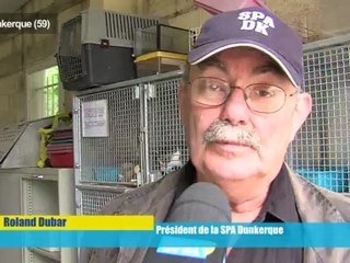 Opal'TV : Le JT - Edition du jeudi 9 août 2012