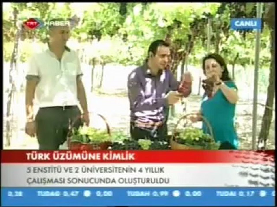 TRT haber. 09.08.2012 canlı yayın
