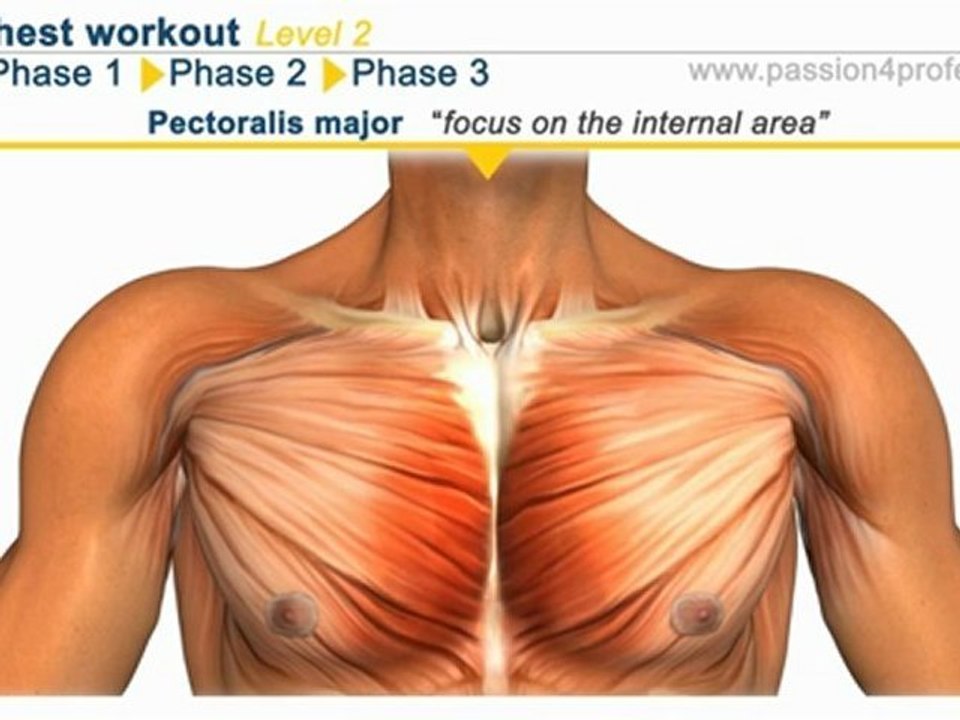 Chest Workout Level 2