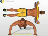 Exercise Push Up for gain chest - pectoral muscle workout