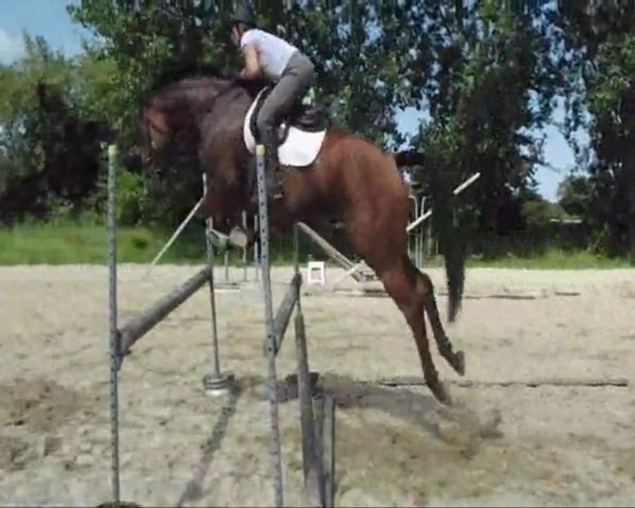 essaies chevaux jeudi 5 août