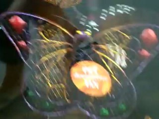 A Place For Cooks - We made a short video about Granada Gourmet to support this small business.