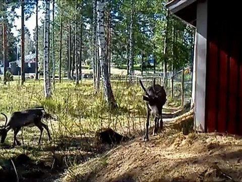 Sony Xperia neo L - демонстрация работы камеры