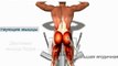Гиперэкстензия - Упражнение для мышц спины
