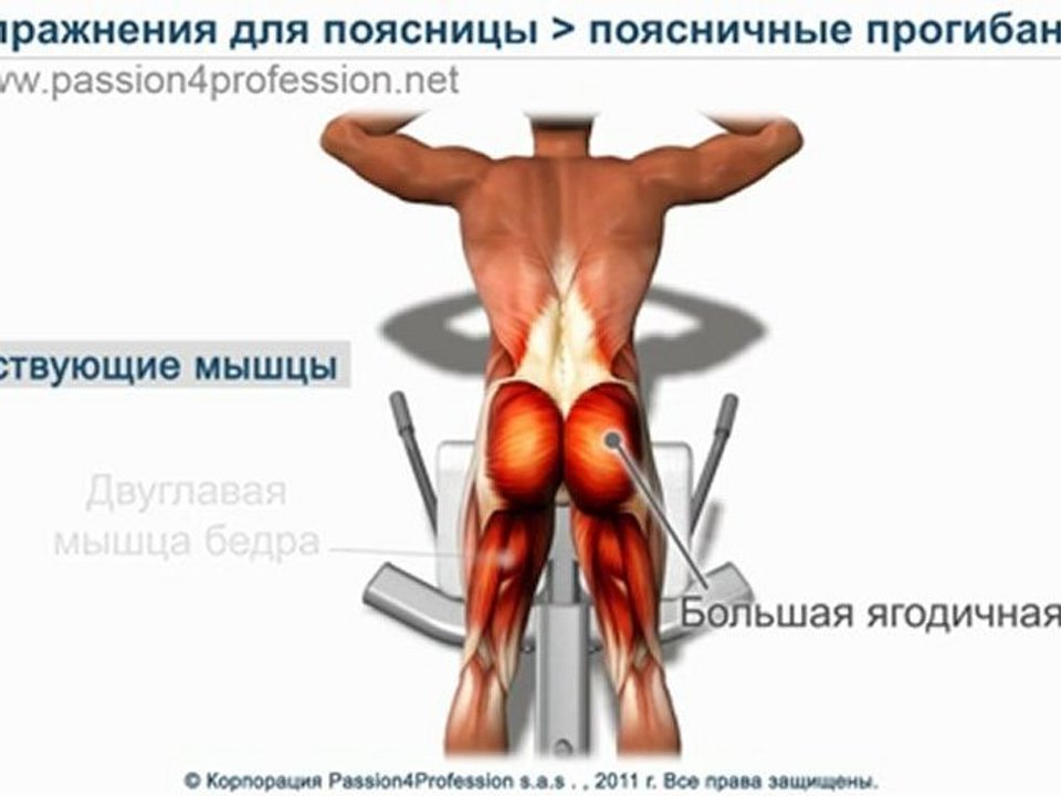 Гиперэкстензия - Упражнение для мышц спины