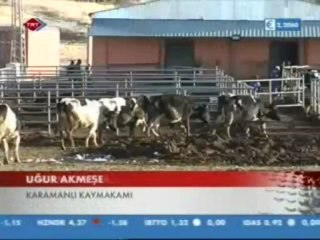 TRT_KARAMANLI'DA ORGANİZE HAYVANCILIK BÖLGESİ