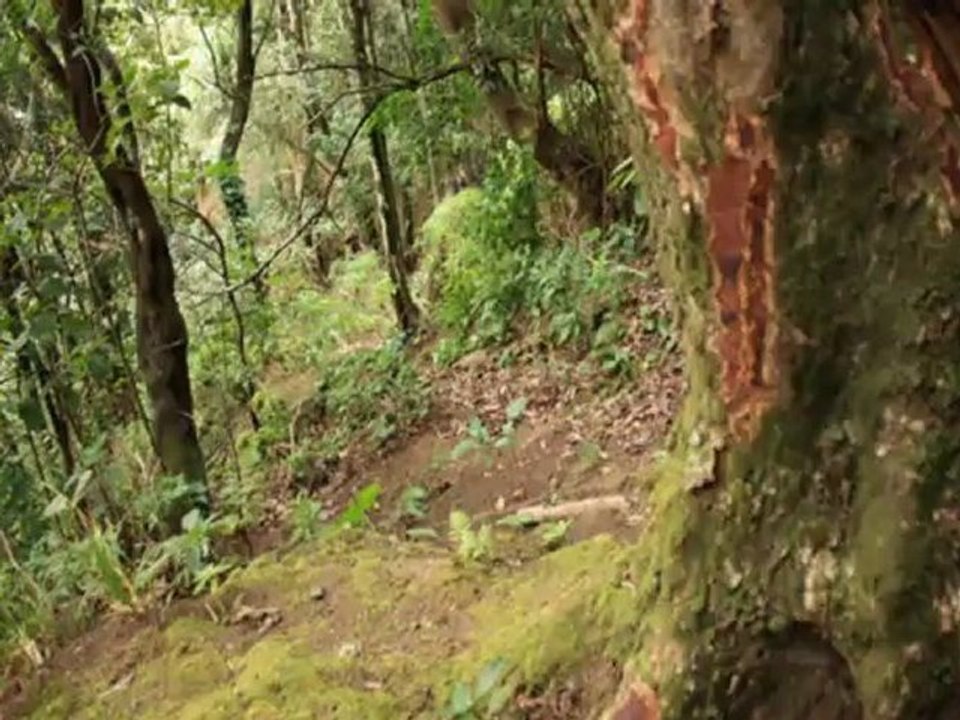 El Umbral de la Sencillez