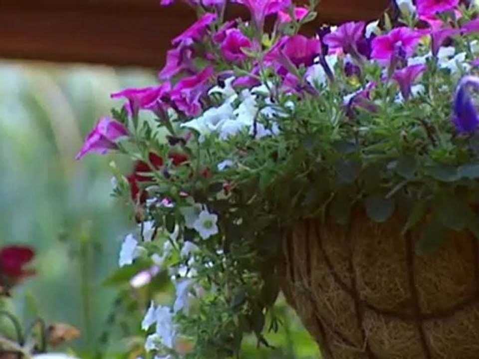 Una casa a orillas del lago Grivita - euromaxx ambiente | Euromaxx