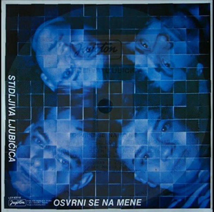 S TOBOM LJEPŠE JE - STIDLJIVA LJUBIČICA (1981)