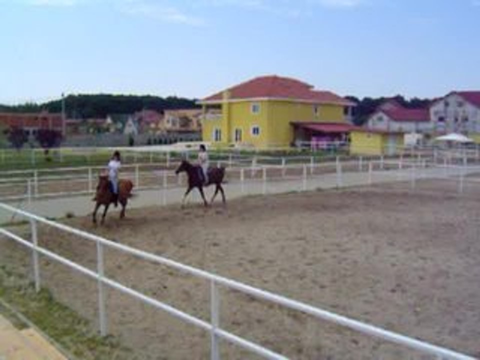 video saut
