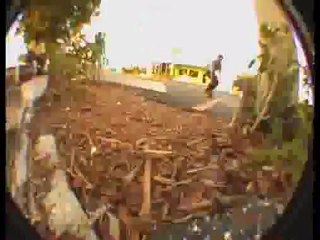 NEWBLOOD Skate Shop Welcomes MATT RAMSEY