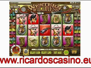 New video slot bonus  from Ricardos Casino