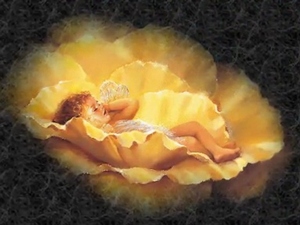 Les noces d'or Michel Pépé