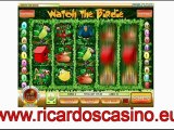 video slot game  from Ricardos Casino