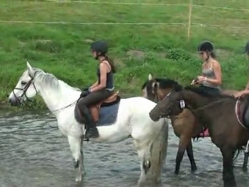 Lamotte-Beuvron 2012