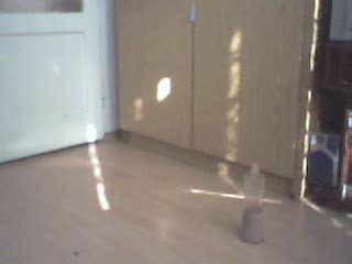 Drinking-upside down