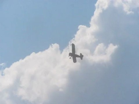 100-летие ВСС