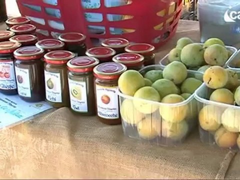 IcaroTv. Siccità, parlano gli agricoltori