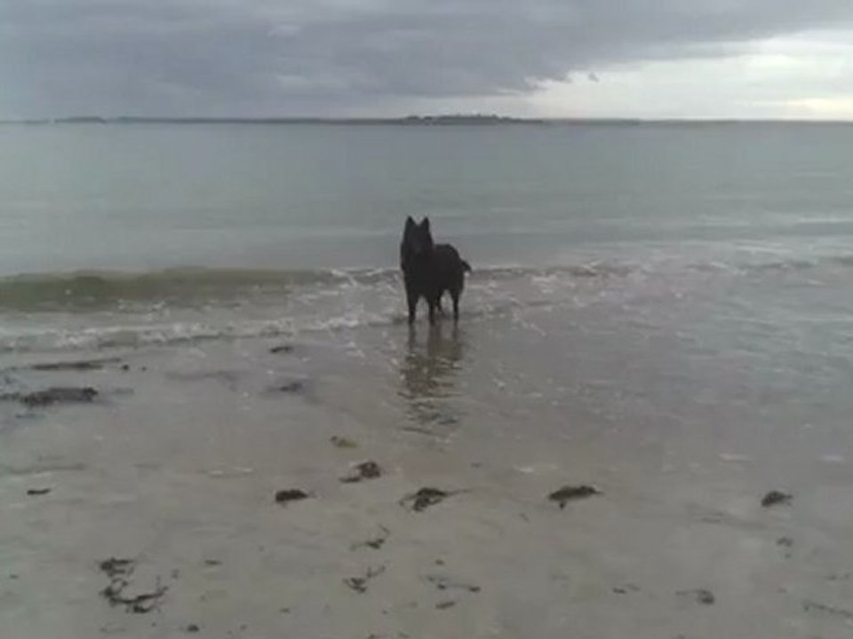 Arko mer