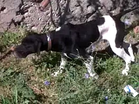 VID_00012-20120630-0857