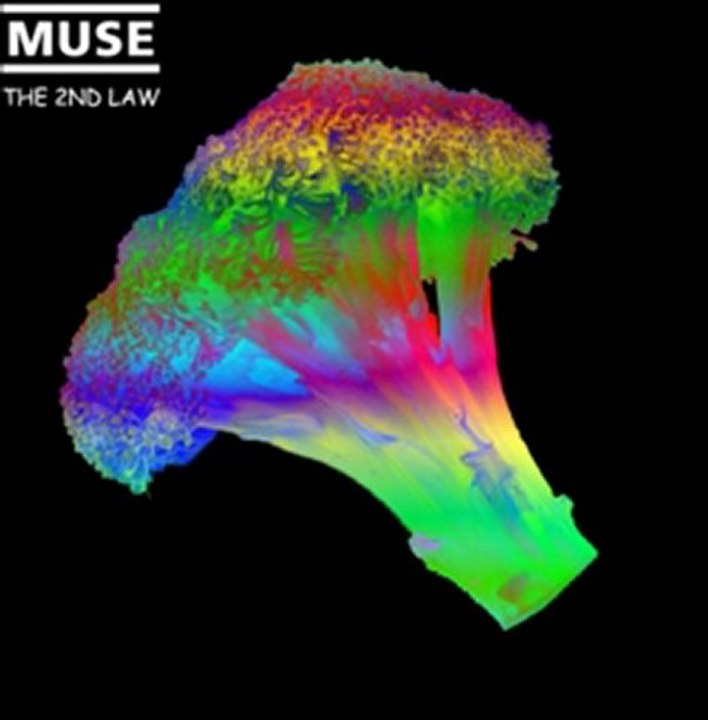 Muse - The 2nd Law - Dom - Sit The Fuck Down - REMIX
