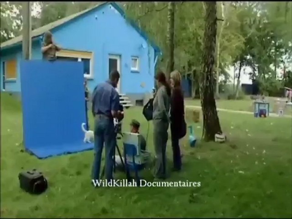 Il était une Fois le Chat